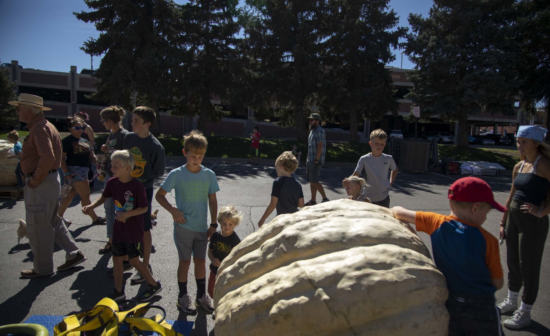 092521-pumpkins-010.JPG